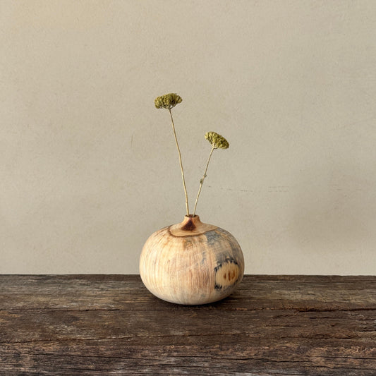 "In nature nothing is created, nothing is lost: everything is transformed | Vase