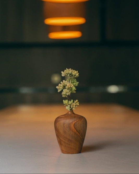BROTO - Chef Pedro Bastos
