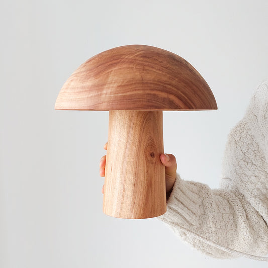 "There is no light without shadow" | Acacia Lamp - Limited Edition