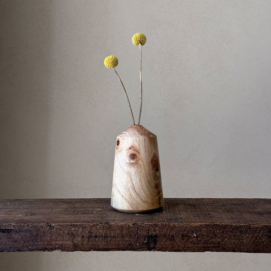 "In nature nothing is created, nothing is lost: everything is transformed | Vase