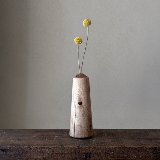 "In nature nothing is created, nothing is lost: everything is transformed | Vase