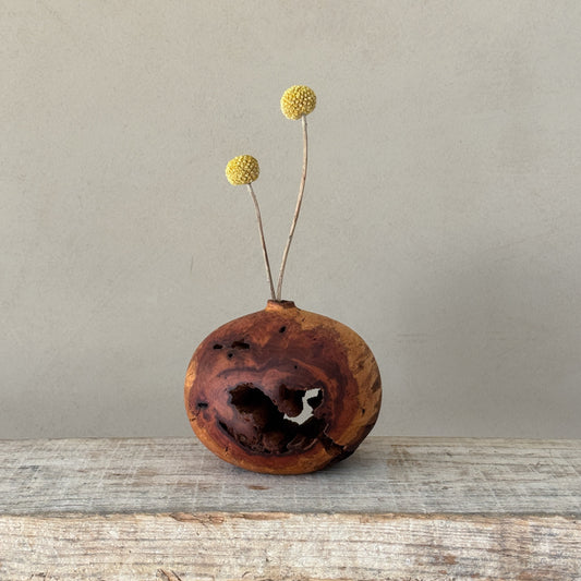 "In nature nothing is created, nothing is lost: everything is transformed | Vase