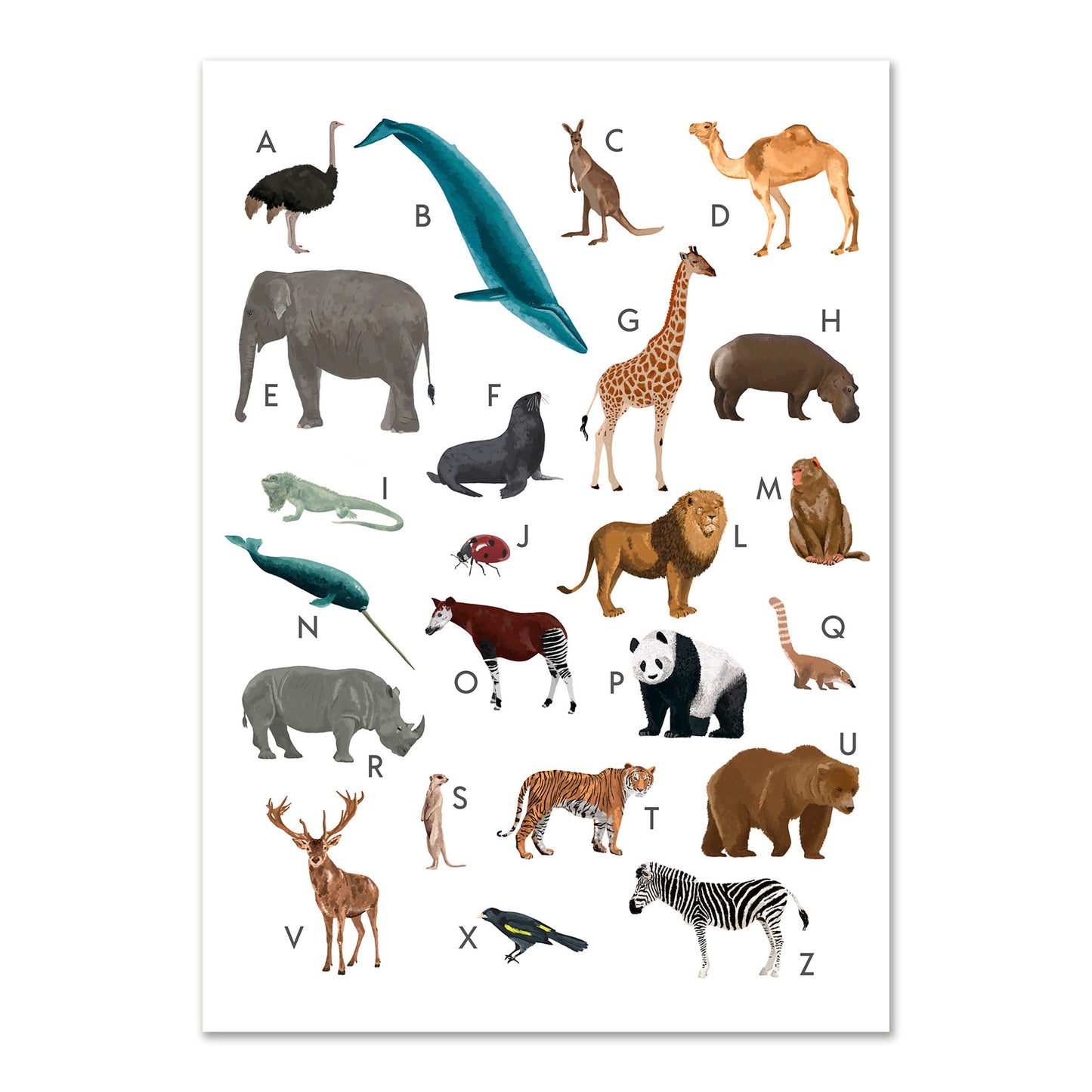 de A a Z | Versão Portuguesa