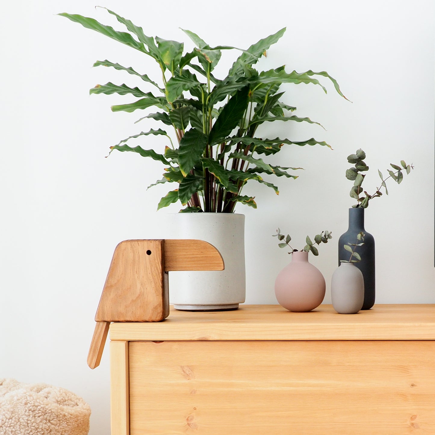 Trazer Água no Bico | Tucano - Papagaio Decorativo