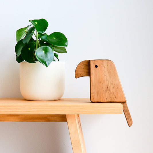 Trazer Água no Bico | Tucano - Papagaio Decorativo