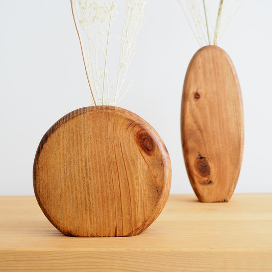 Belo Par de Jarras | Jarra para Flores