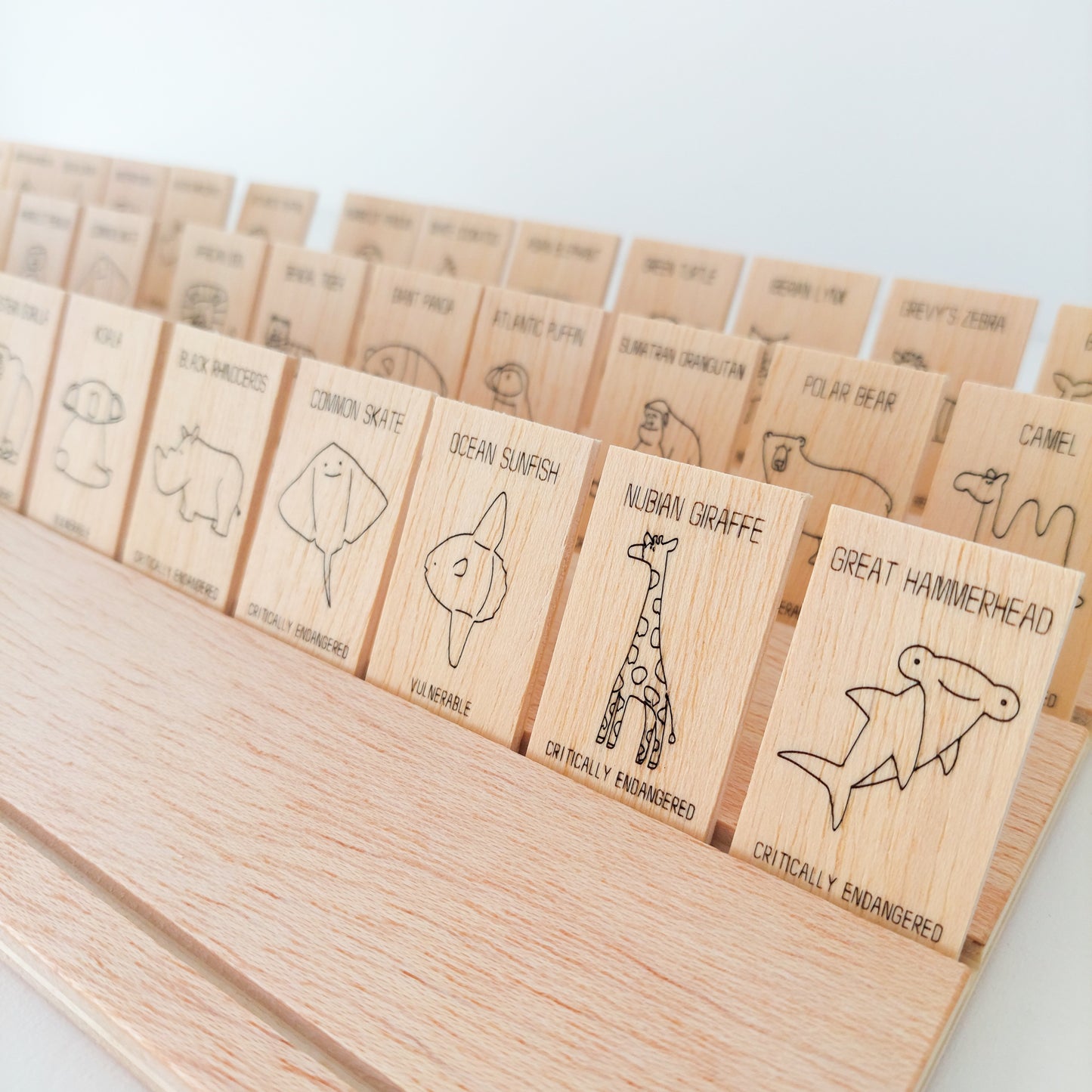 "Quetioner's Tongues" | Guessing Game