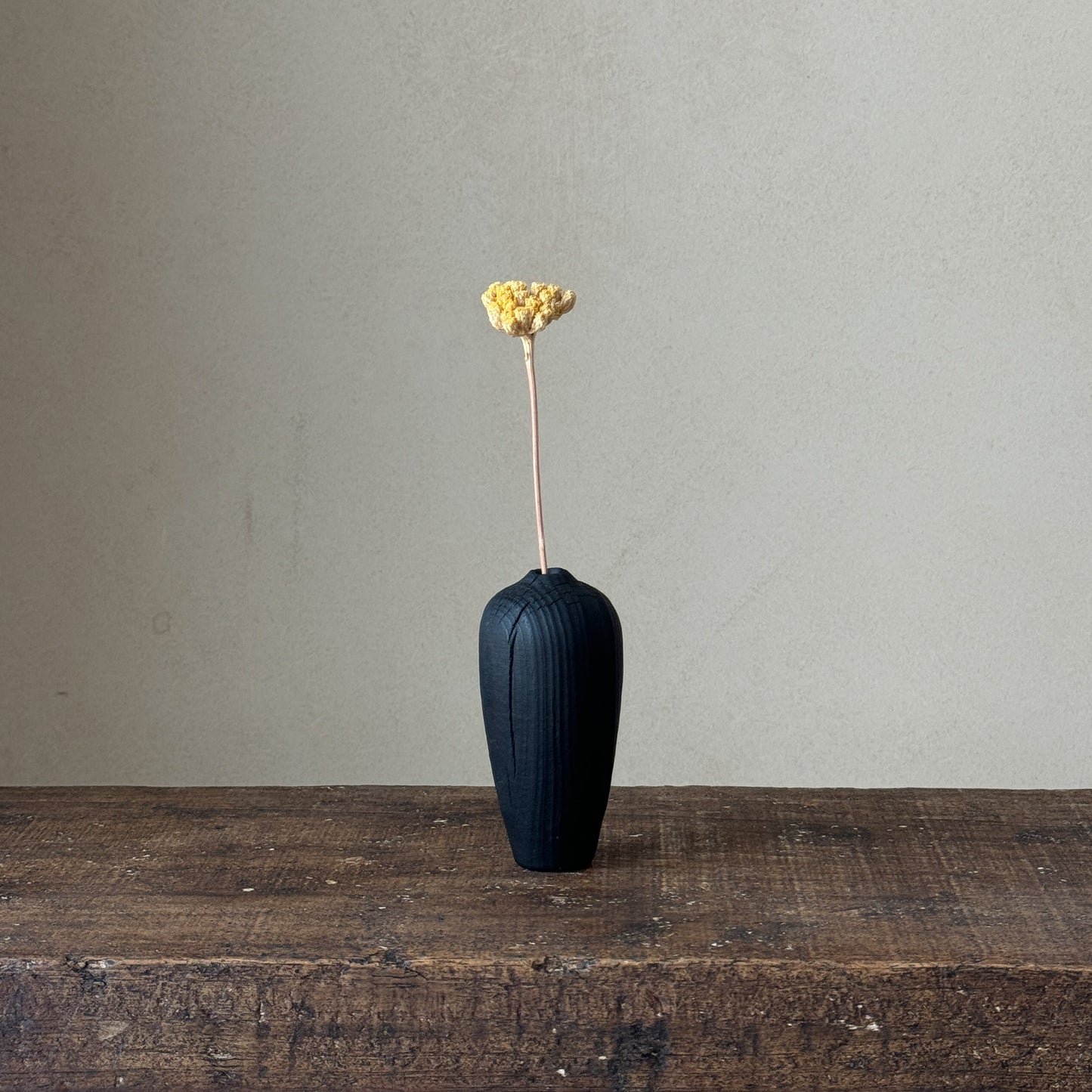 "In nature nothing is created, nothing is lost: everything is transformed | Vase