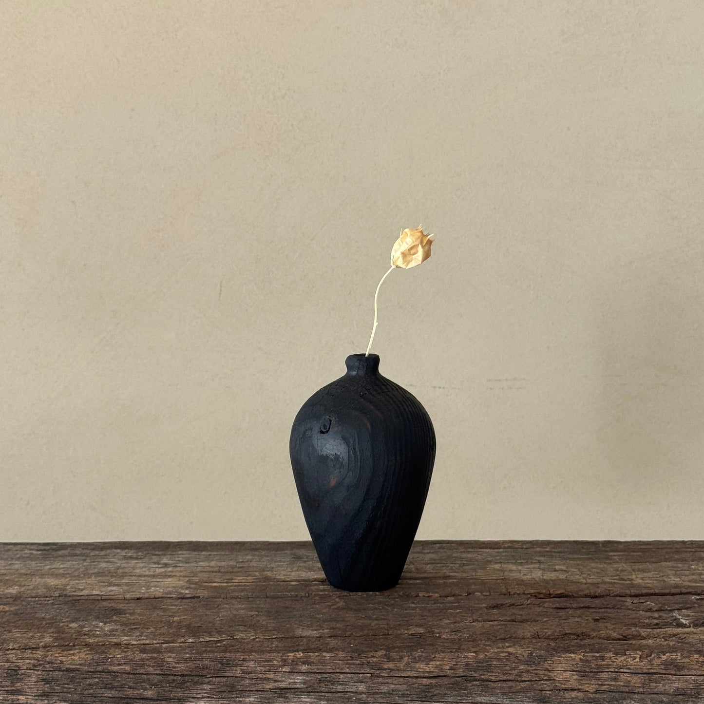 Na natureza nada se cria, nada se perde: tudo se transforma | 8.45