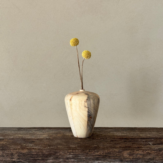 "In nature nothing is created, nothing is lost: everything is transformed | Vase
