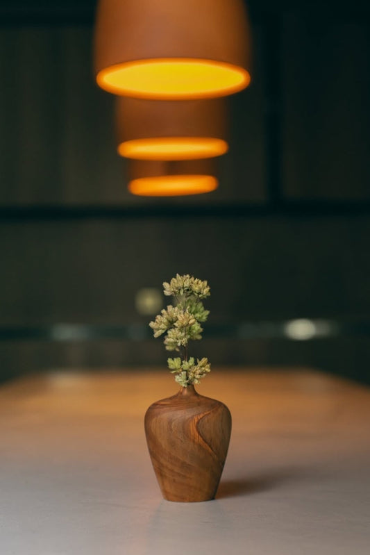 BROTO - Chef Pedro Bastos