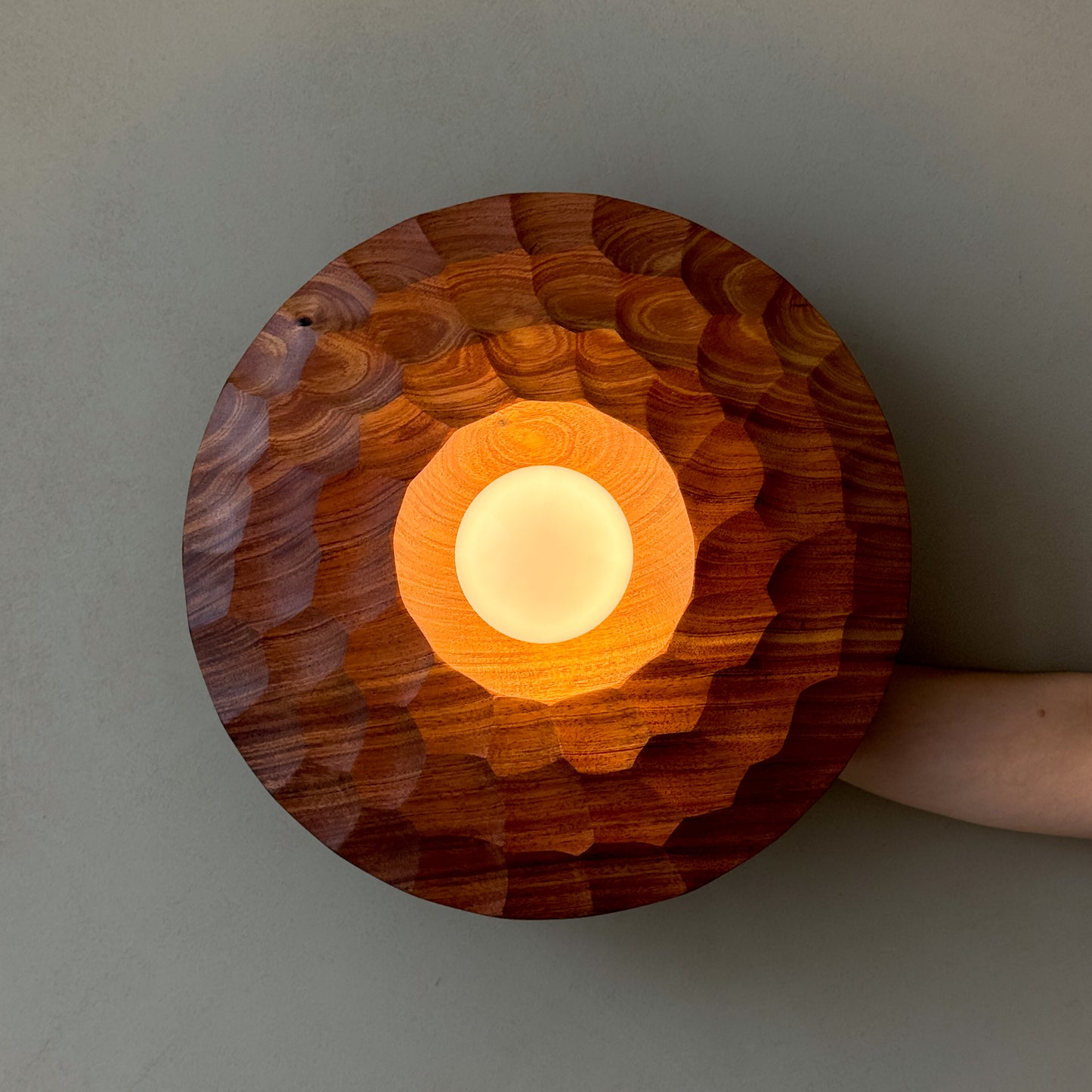 "There is no light without shadow" | Acacia Wall Lamp