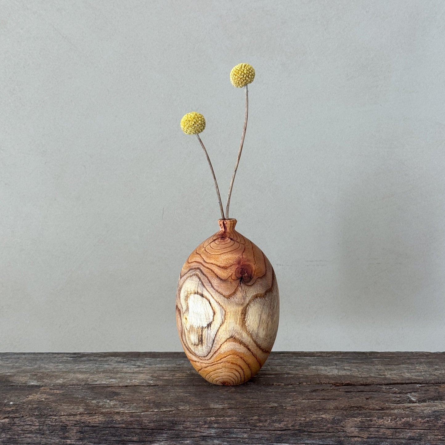 "In nature nothing is created, nothing is lost: everything is transformed | Vase