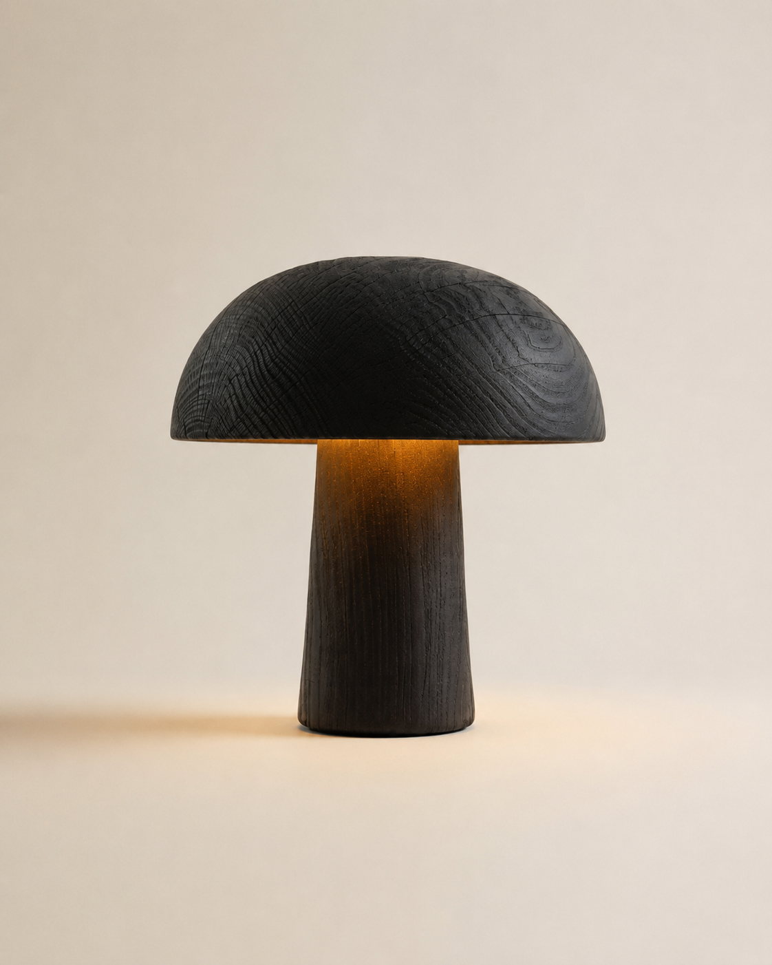 "There is no light without shadow" | Lamp