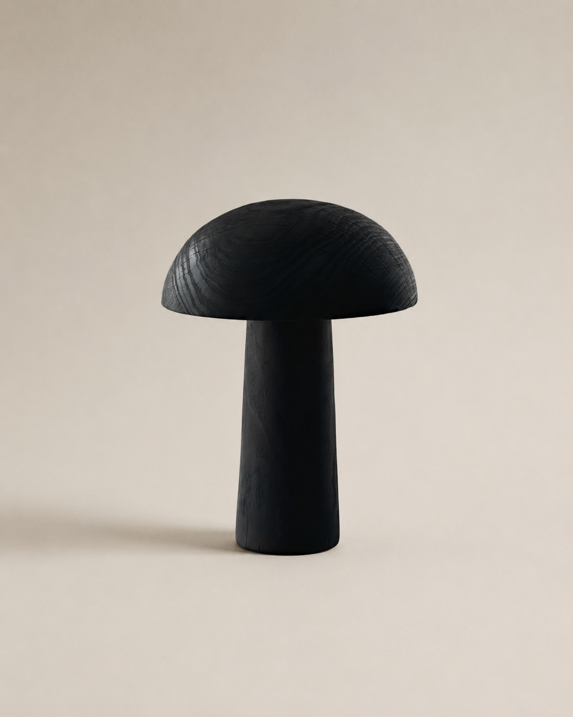 "There is no light without shadow" | Lamp