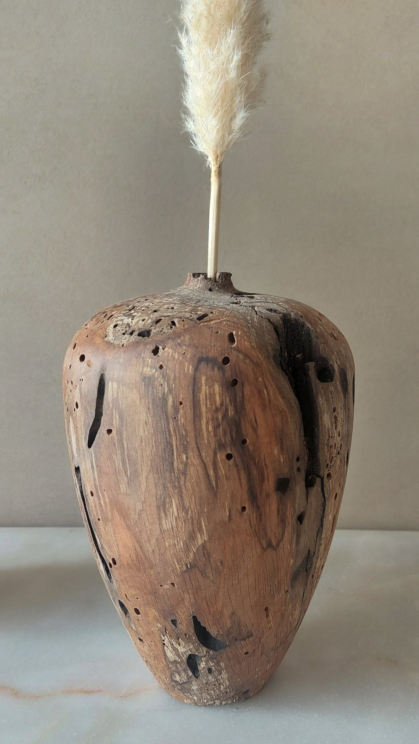 "In nature nothing is created, nothing is lost: everything is transformed | Vase