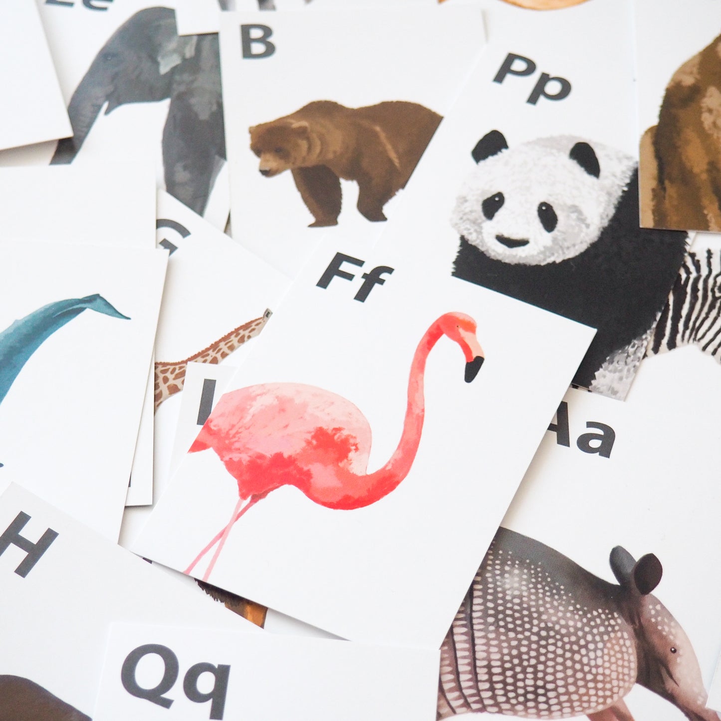 "From A to Z" | Alphabet Flashcards - english version